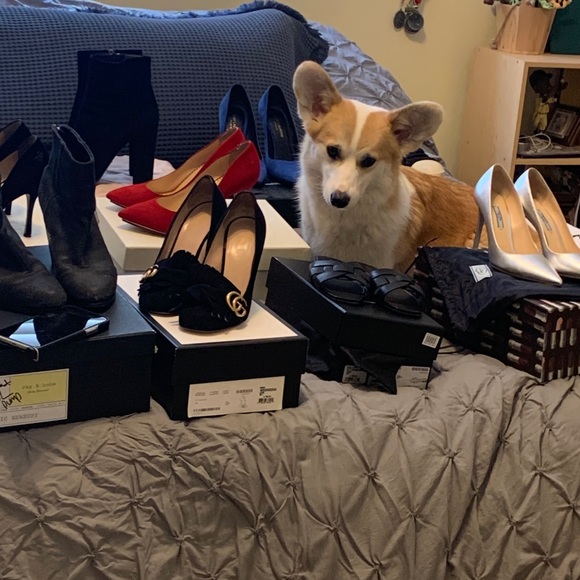 Meet your Posher, Sandy - Picture 1 of 1